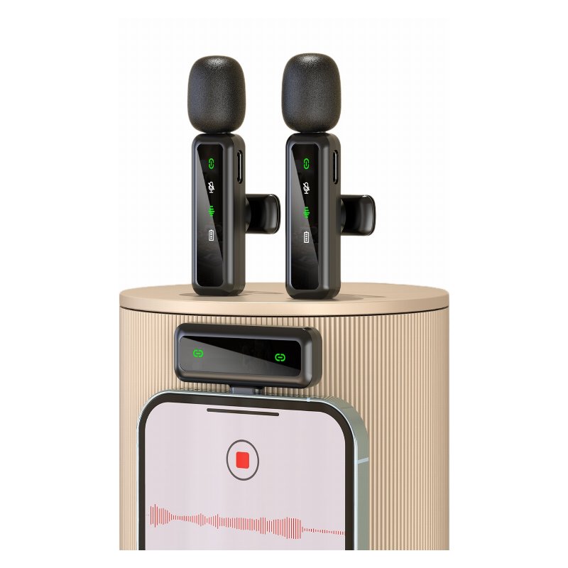 H36 Wireless Lavalier Microphone — Kit Double (2×Mic + Récepteur USB-C) avec LED, Plug & Play